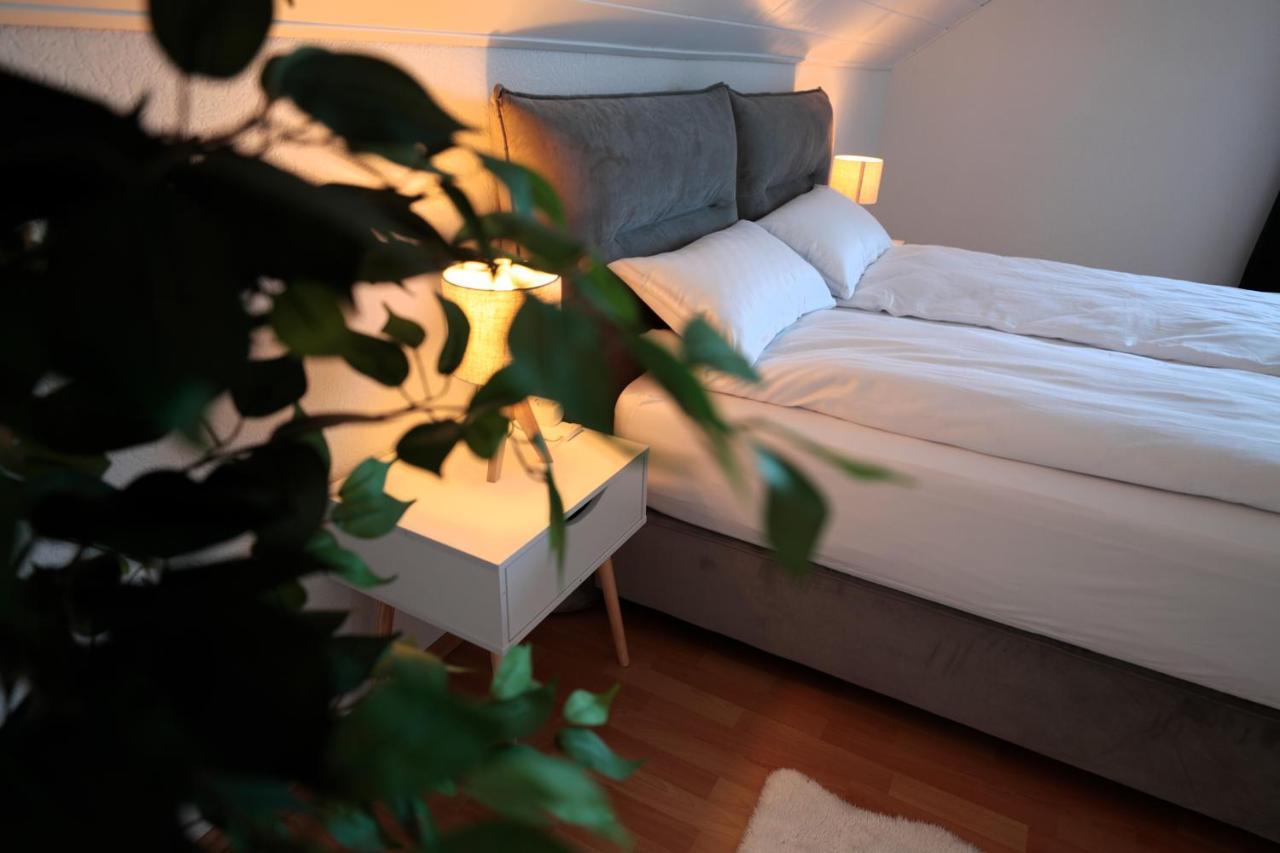 Goldhouse - Sauna, Whirlpool, Switch, Darts & Mehr Andernach Eksteriør bilde